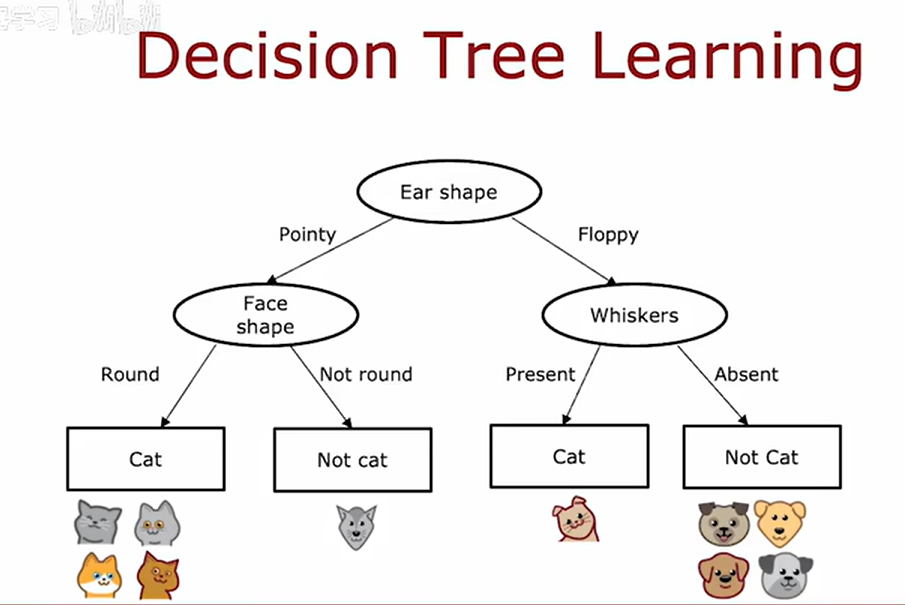 image-20251013222259478