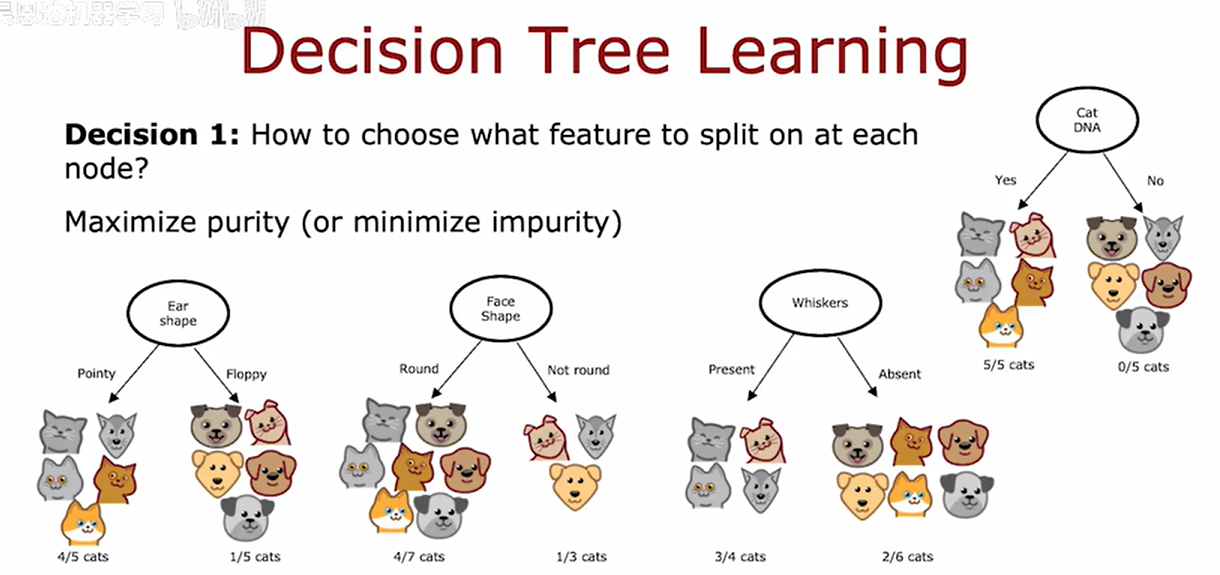 image-20251013222500583