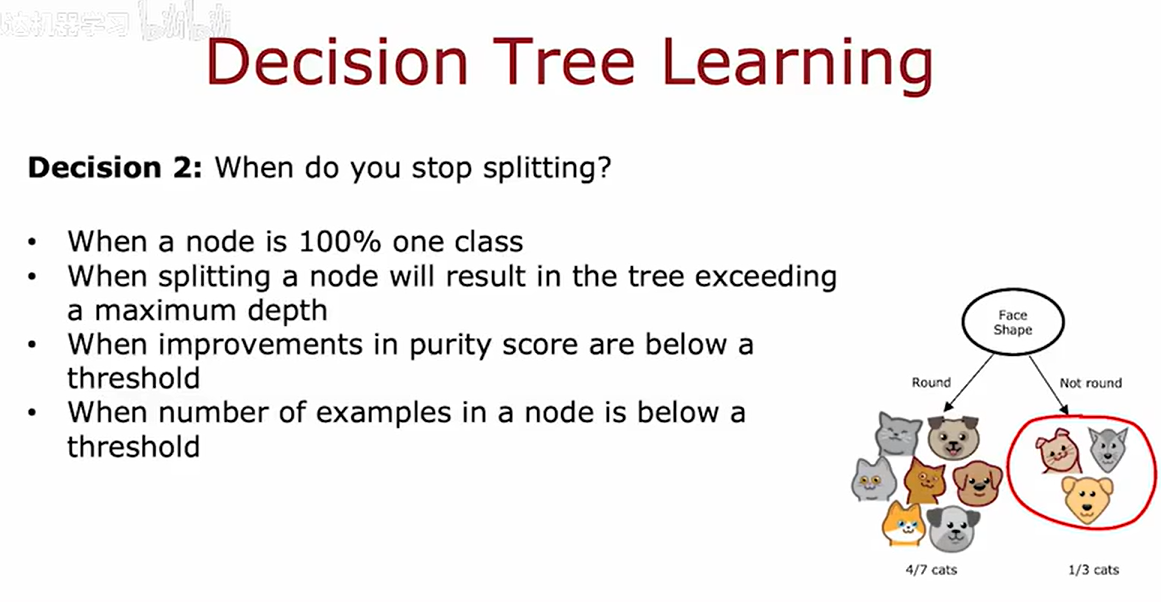 image-20251013222920904