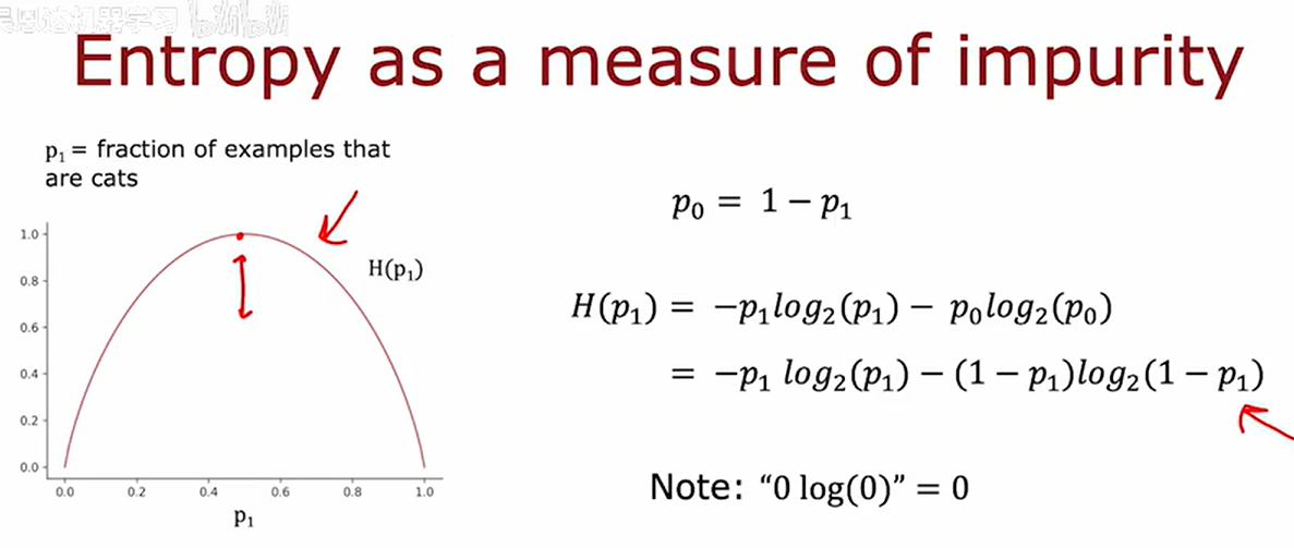 image-20251013224552490