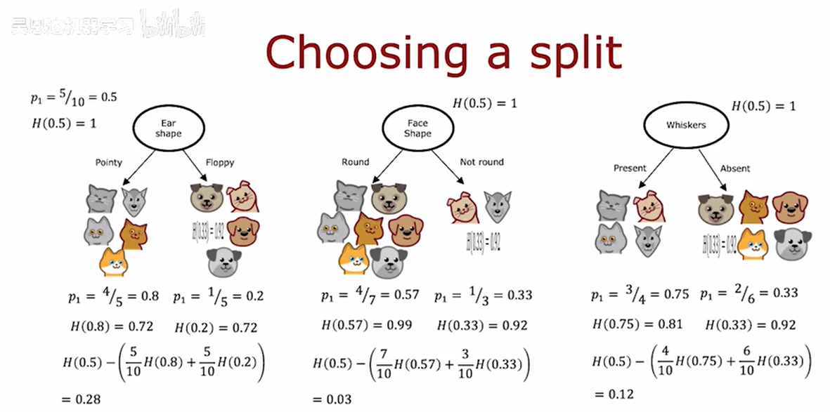 image-20251013225633957