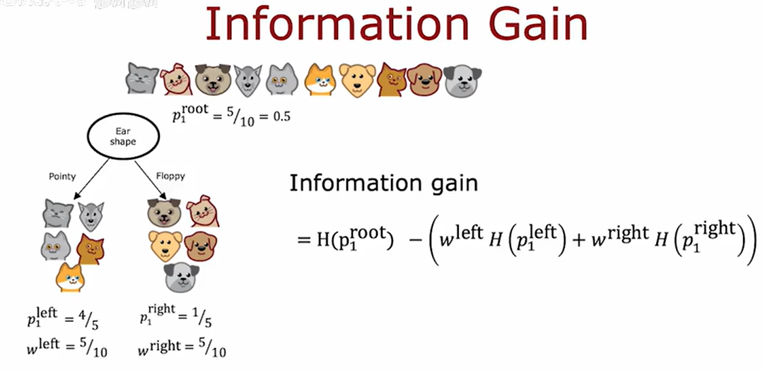 image-20251013230417602