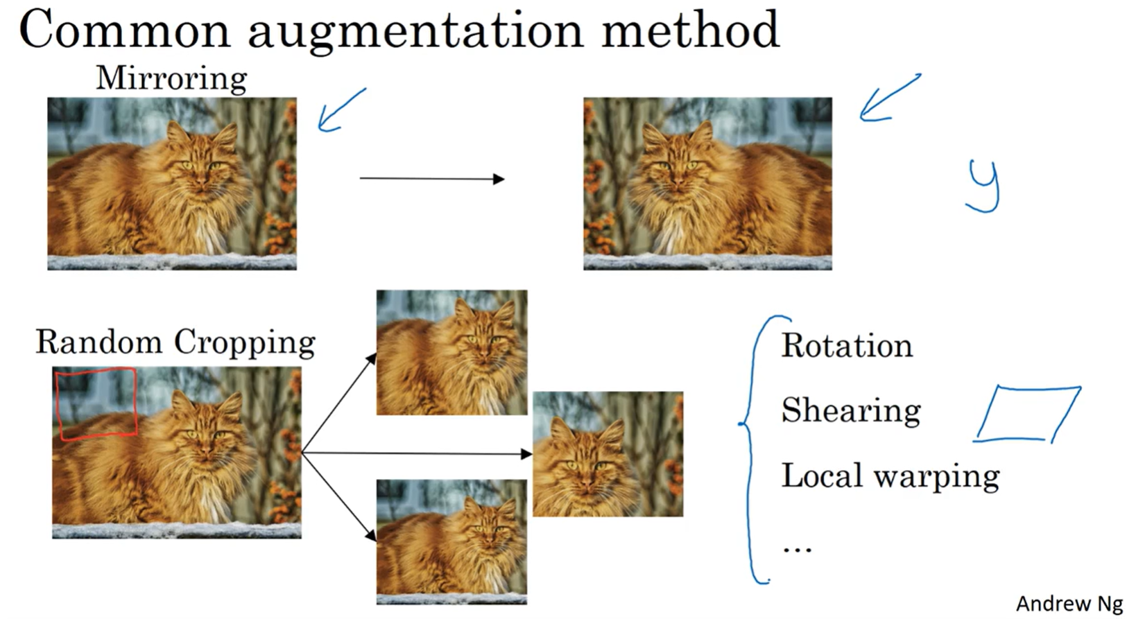 image-20251111100628269